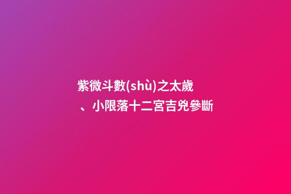 紫微斗數(shù)之太歲、小限落十二宮吉兇參斷